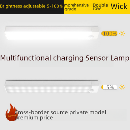 Motion Sensor LED Closet Light